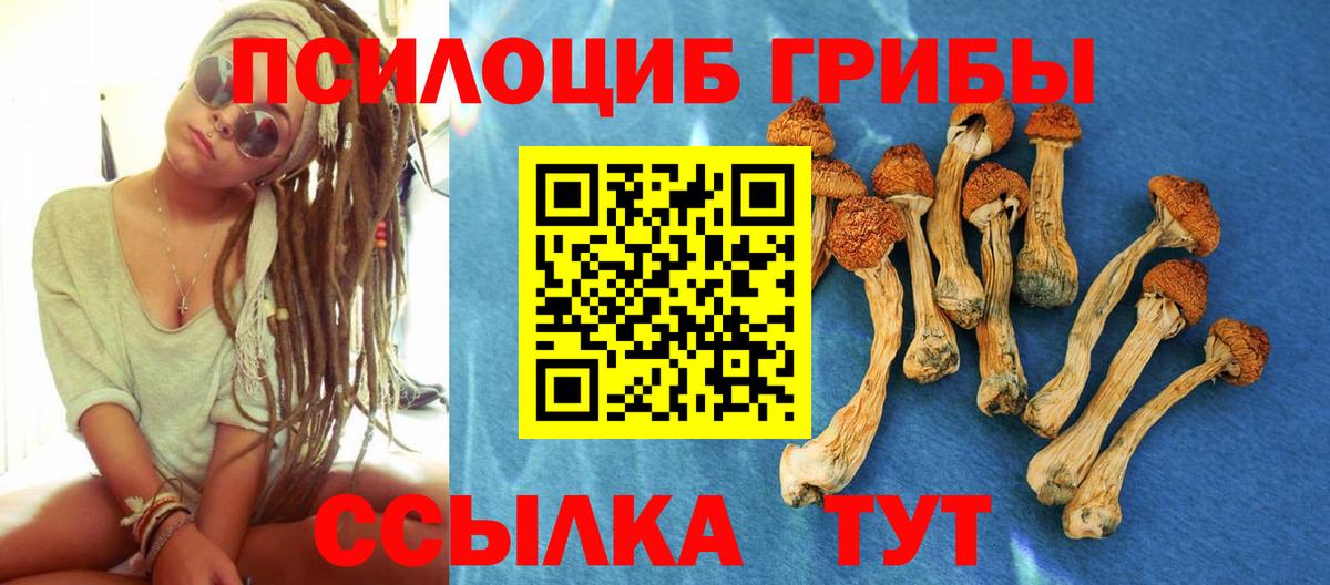 Галлюциногенные грибы MAGIC MUSHROOMS  Галлюциногенные грибы мицелий  Анжеро-Судженск  Вход с VPN 